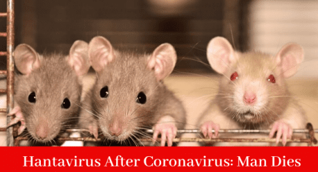 Hantavirus After Coronavirus: Man Dies in China Tested Hantavirus Positive