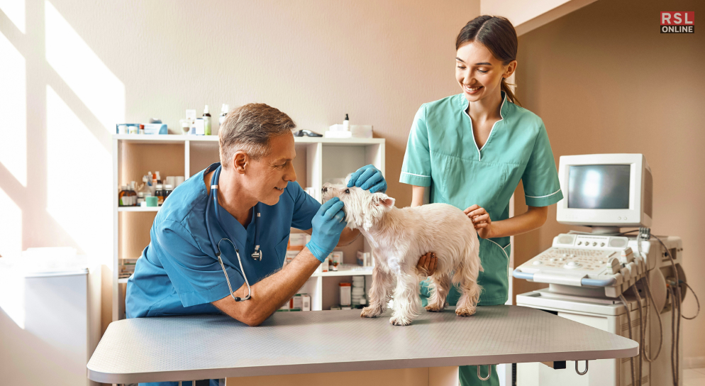 veterinary science degree