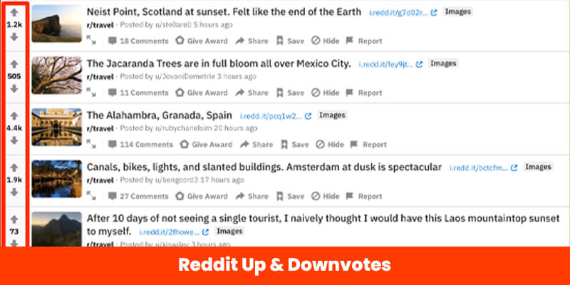 Reddit Up & Downvotes reddit