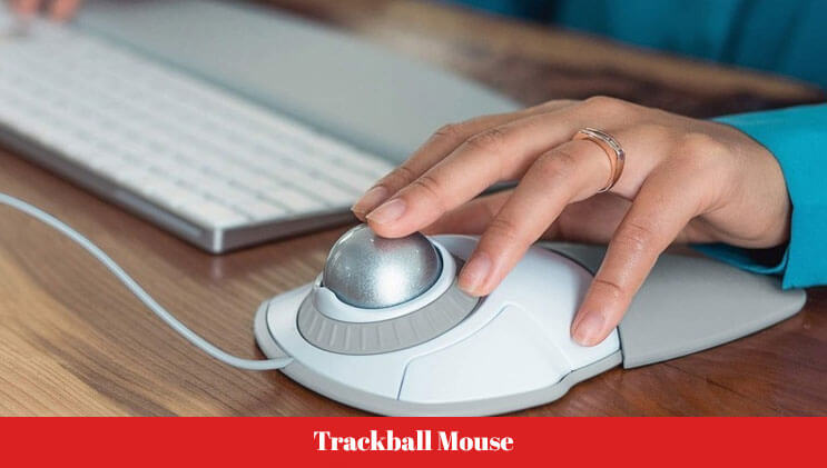 Trackball Mouse