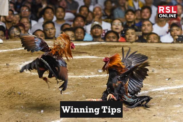 Winning Tips