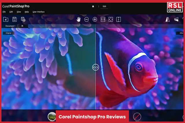 Corel Paintshop Pro Reviews