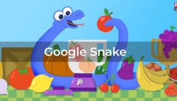 google snake