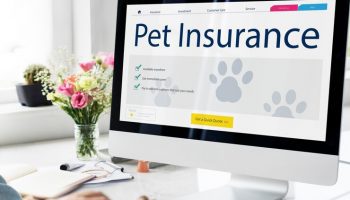 Pet Insurance