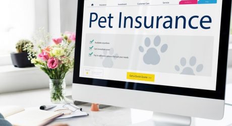 Pet Insurance