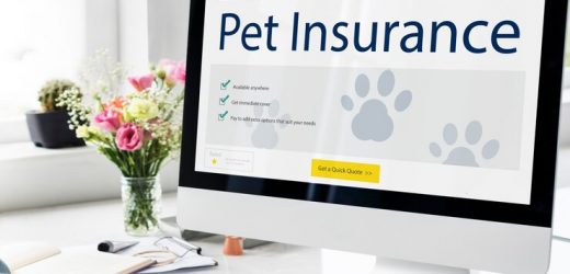 Pet Insurance