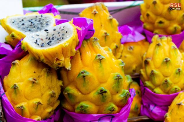 Yellow Dragon Fruit