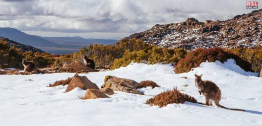 does it snow in australia