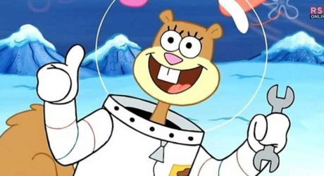 how old is sandy cheeks