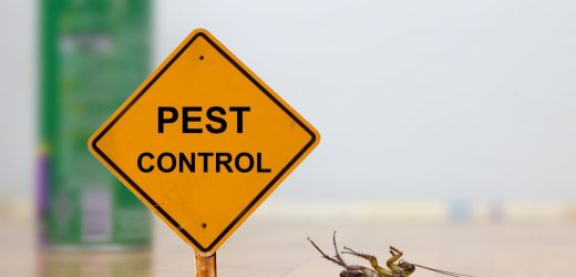 24 HR Pest Control