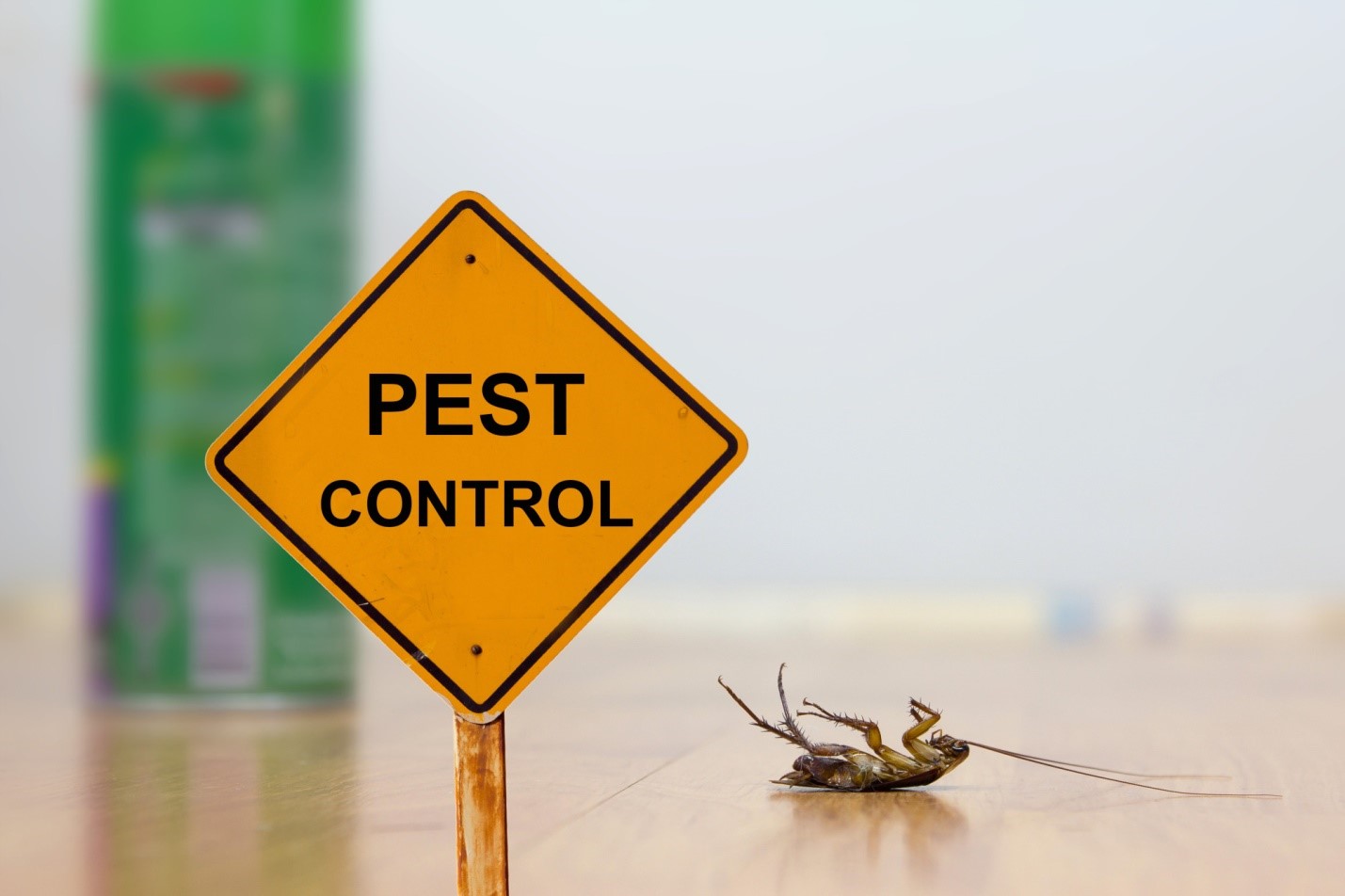 24 HR Pest Control