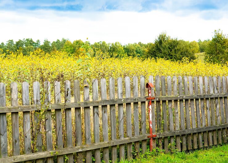 Benefits Of Invisible Deer Fencing