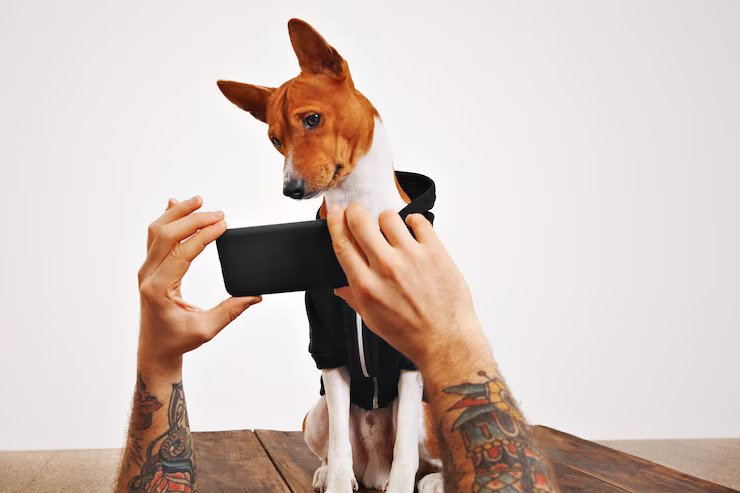 Photograph The Animal