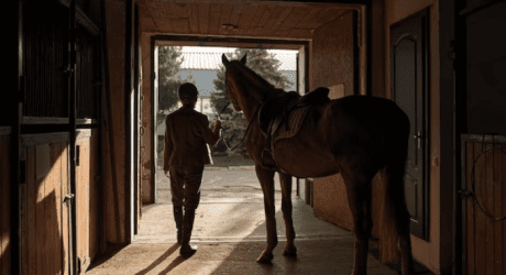 Styling Your Horse