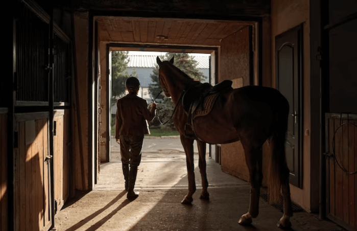 Styling Your Horse