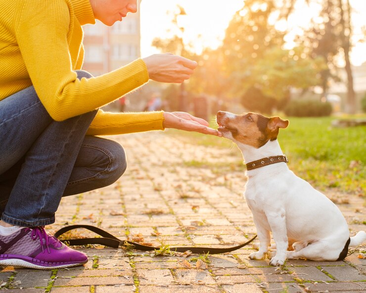 Dog Training Clicker