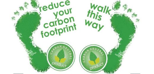 Reduce Your Carbon Footprint
