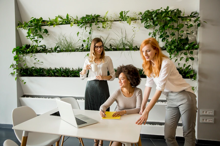 6 Types Of Office Plants For Your Business