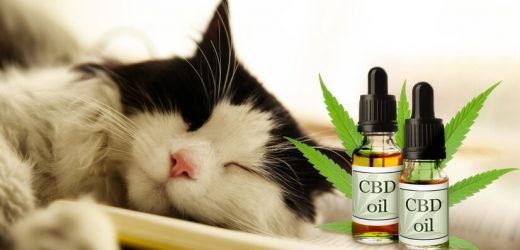 Cannabidiol