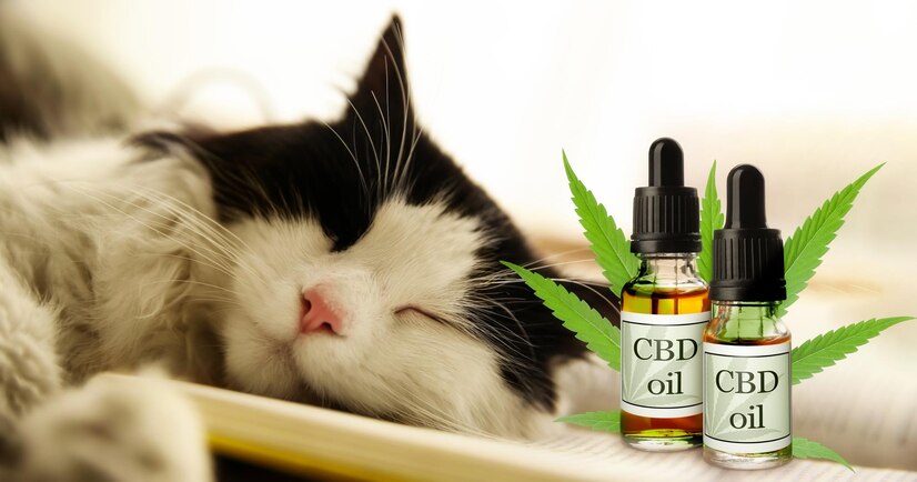 Cannabidiol