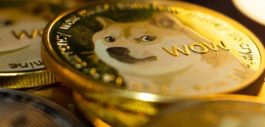 Mining Doge Coins