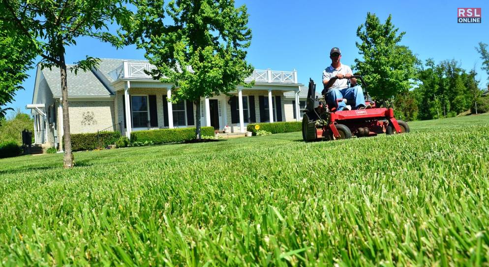 Lawn Care And Maintenance