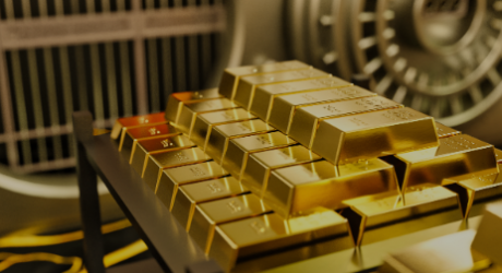 Navigating the Intricacies of Home Storage Gold IRAs