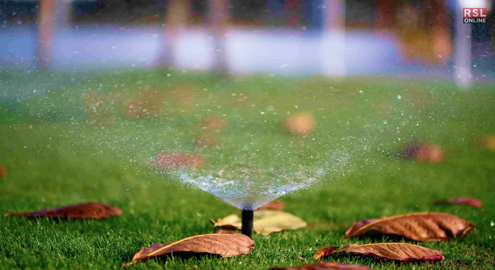 Common Mistakes to Avoid While Watering Grass Seeds