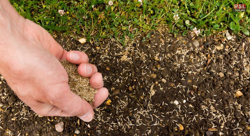 Determining Grass Seed Coverage