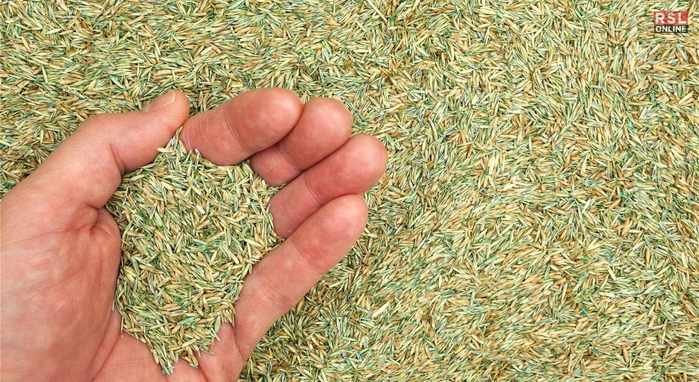 Purchasing Your Grass Seed