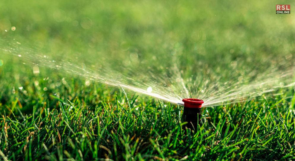 So, How Often To Water Grass Seed