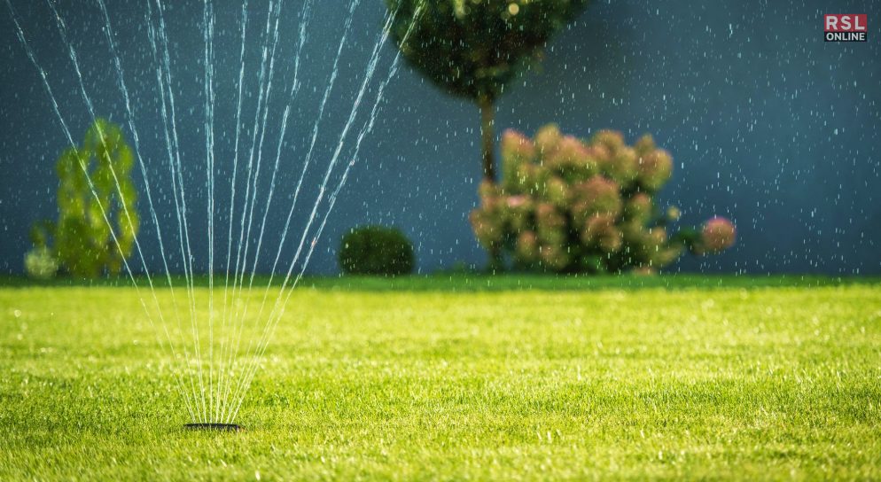 The Crucial First Step To Successful Lawn Growth