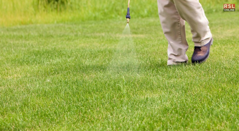 What Is Spray-On Grass Seed