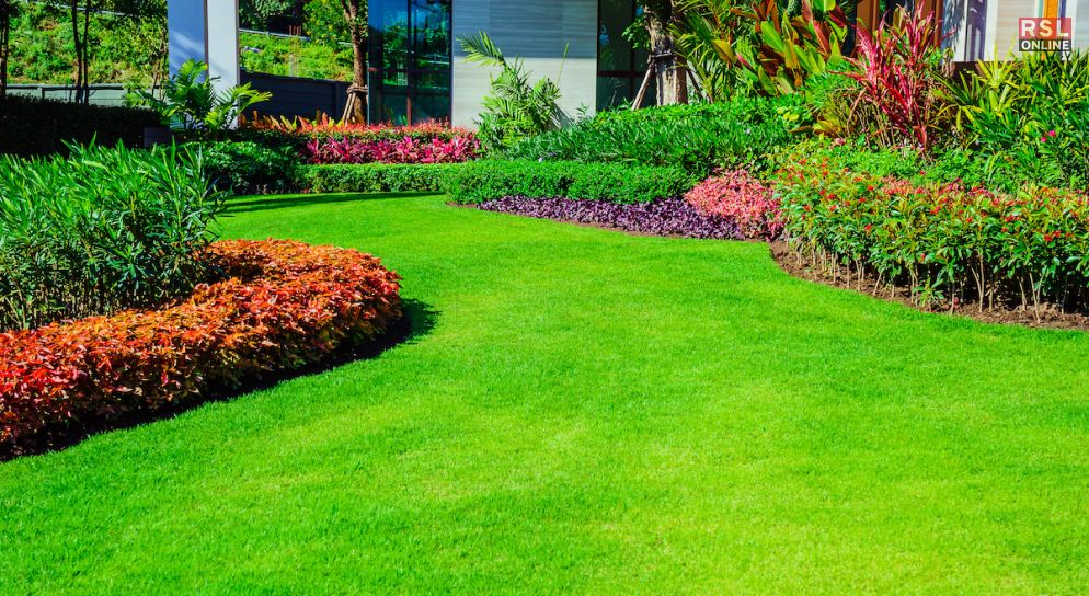 When to Plant Grass Seed_ The Key to a Lush Lawn