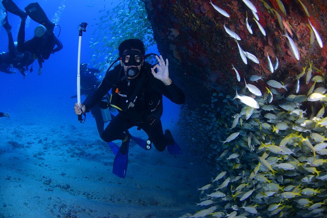 Difference Between Snorkeling and Scuba Diving