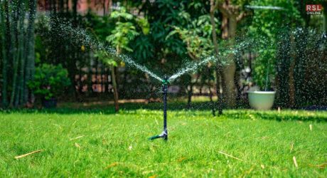 how often to water grass seed