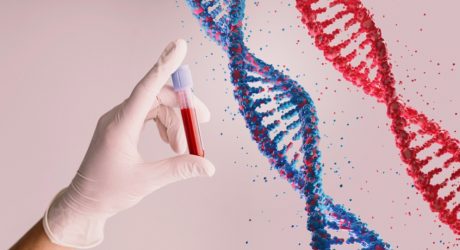 Plasmid Sequencing