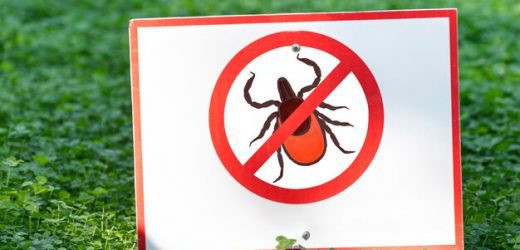 Tick Prevention