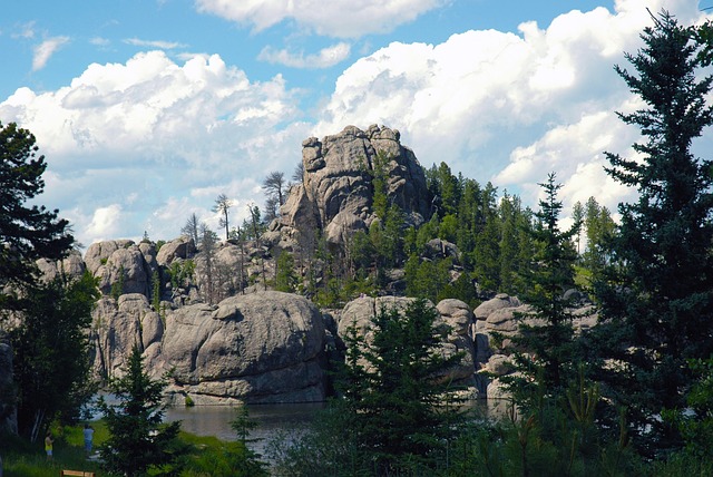 Black Hills National Forest