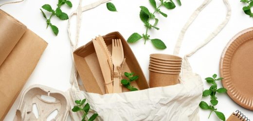 Sustainable Food Wrapping Methods