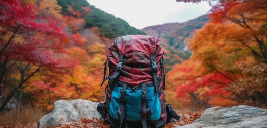 Camper Backpack