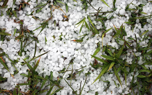 Key Signs of Hail Damage