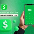 Cash app borrow limit