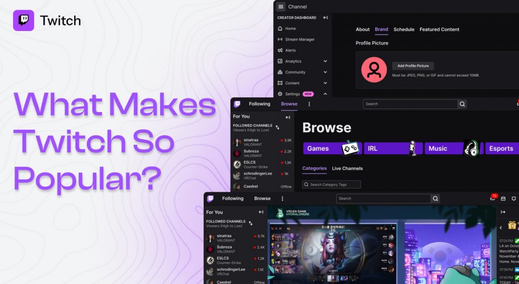 What Makes Twitch So Popular
